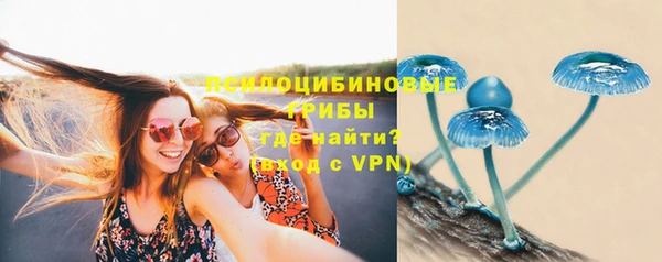 прущие крисы Богородицк