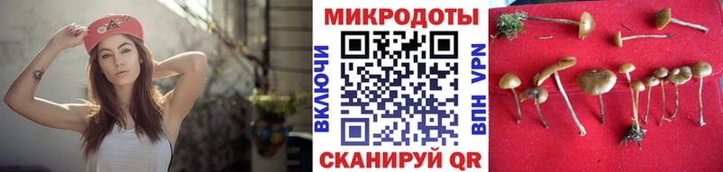 купить  сайты  Кировград  Псилоцибиновые грибы MAGIC MUSHROOMS 