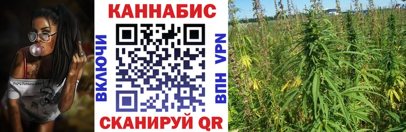 Канабис Amnesia  где найти наркотики  Кировград 